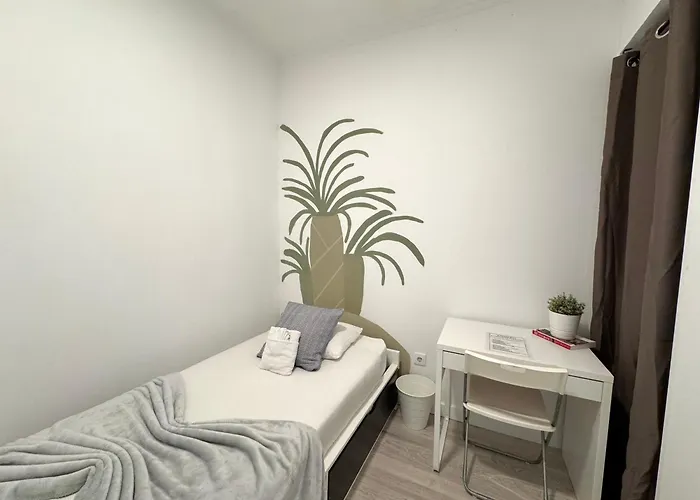 Better Choice Pensión